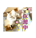 うめさんとお話し（個別スタンプ：25）
