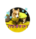 うめさんとお話し（個別スタンプ：26）