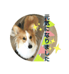 うめさんとお話し（個別スタンプ：28）
