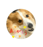 うめさんとお話し（個別スタンプ：29）