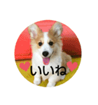 うめさんとお話し（個別スタンプ：30）
