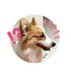 うめさんとお話し（個別スタンプ：32）