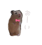 ハムスターくまきちの日常（個別スタンプ：8）