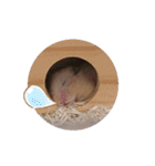 ハムスターくまきちの日常（個別スタンプ：10）