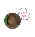 ハムスターくまきちの日常（個別スタンプ：20）