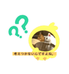猫 ここ＆なっつ 挨拶編（個別スタンプ：4）