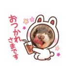 【フェレット】チョコちゃんねるwithミント（個別スタンプ：4）