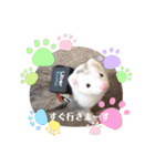 【フェレット】チョコちゃんねるwithミント（個別スタンプ：22）