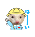 【フェレット】チョコちゃんねるwithミント（個別スタンプ：33）