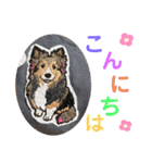 シェリぽんと愉快な仲間たち6（個別スタンプ：5）