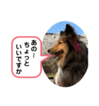 シェリぽんと愉快な仲間たち6（個別スタンプ：8）