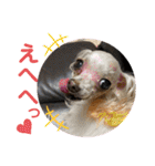 シェリぽんと愉快な仲間たち6（個別スタンプ：9）