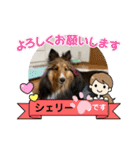 シェリぽんと愉快な仲間たち6（個別スタンプ：26）