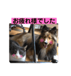 シェリぽんと愉快な仲間たち6（個別スタンプ：31）