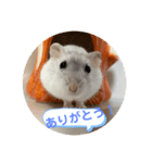 だいふく〜2（個別スタンプ：2）