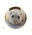 だいふく〜2（個別スタンプ：4）