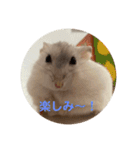 だいふく〜2（個別スタンプ：6）