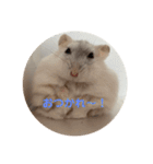 だいふく〜2（個別スタンプ：8）