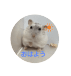 だいふく〜2（個別スタンプ：9）
