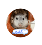 だいふく〜2（個別スタンプ：16）