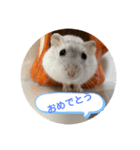 だいふく〜2（個別スタンプ：31）