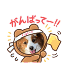 パピヨンのるぅくんです♪（個別スタンプ：16）