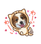 パピヨンのるぅくんです♪（個別スタンプ：34）