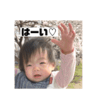 ひまなの春ver（個別スタンプ：14）