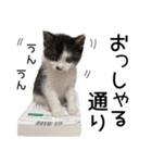 黒猫のジジちゃん スタンプ（個別スタンプ：4）