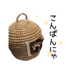 黒猫のジジちゃん スタンプ（個別スタンプ：9）