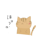 猫スタンプ基本編（個別スタンプ：11）