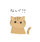 猫スタンプ基本編（個別スタンプ：16）