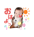 安田家スタンプ♡（個別スタンプ：5）