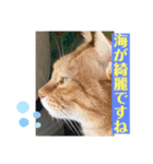 茶太郎とみい子のつぶやき（個別スタンプ：2）