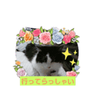 ぷくぷくりん（個別スタンプ：1）