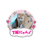 ぷくぷくりん（個別スタンプ：3）