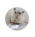 だいふく〜3（個別スタンプ：1）