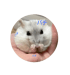 だいふく〜3（個別スタンプ：2）