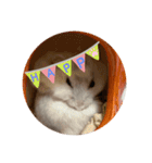 だいふく〜3（個別スタンプ：5）