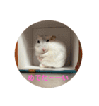 だいふく〜3（個別スタンプ：7）