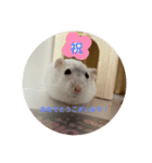 だいふく〜3（個別スタンプ：8）
