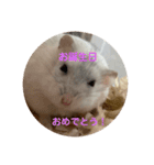 だいふく〜3（個別スタンプ：11）
