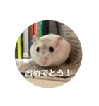 だいふく〜3（個別スタンプ：16）