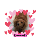 犬たち♡2（個別スタンプ：7）