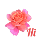 薔薇好きpotスタンプ4（個別スタンプ：3）