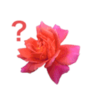 薔薇好きpotスタンプ4（個別スタンプ：13）