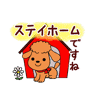 トイプー日和 毎日（個別スタンプ：6）