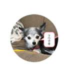 クワのスタンプ(レフティ版)（個別スタンプ：1）