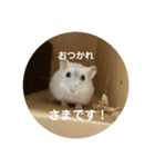 だいふく〜4（個別スタンプ：2）