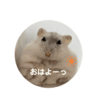 だいふく〜4（個別スタンプ：8）
